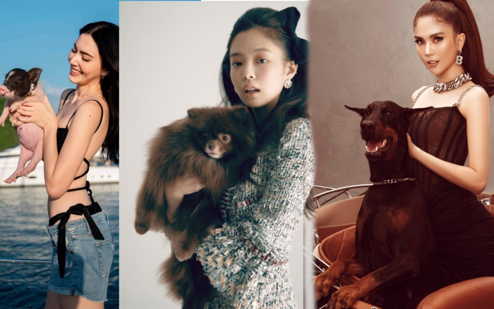 Dàn sao nữ đình đám diện đồ sang chảnh chụp hình thời trang cùng động vật để gây chú ý Ảnh 2