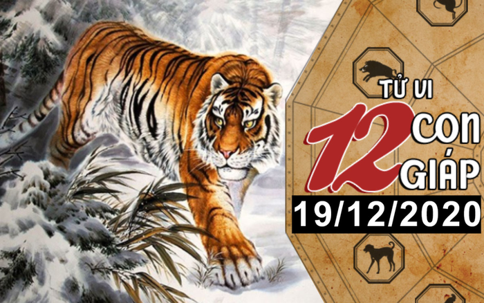 Tử vi thứ 7 ngày 19/12/2020 của 12 con giáp: Dần tiền bạc rủng rỉnh, Tỵ tiêu xài hoang phí Ảnh 2