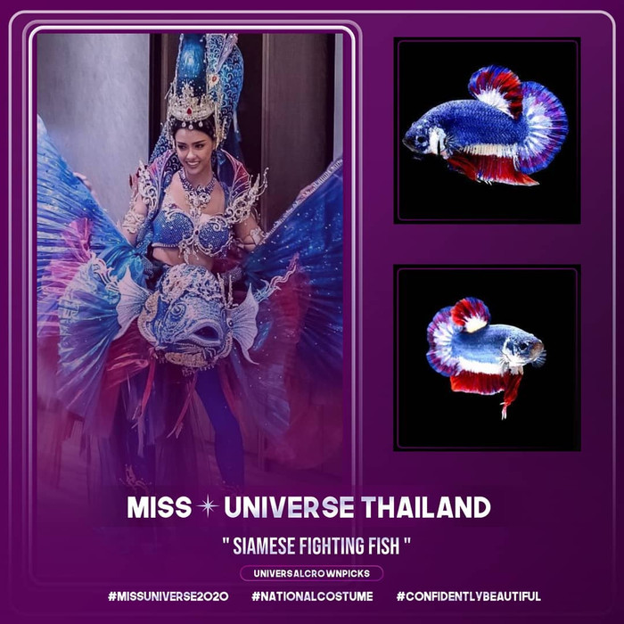 Rộ tin Miss Universe thi Trang phục dân tộc trực tuyến: Khánh Vân không thể đưa áo dài lên sân khấu? Ảnh 8