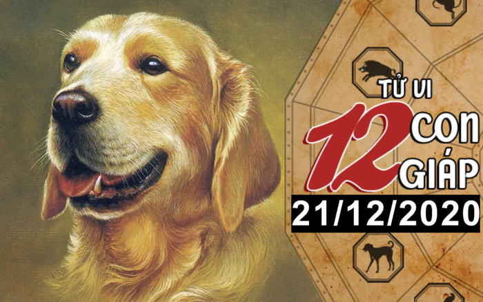 Tử vi thứ 2 ngày 21/12/2020 của 12 con giáp: Tuất nên đề phòng tiểu nhân, Dậu tiền bạc không thiếu Ảnh 2