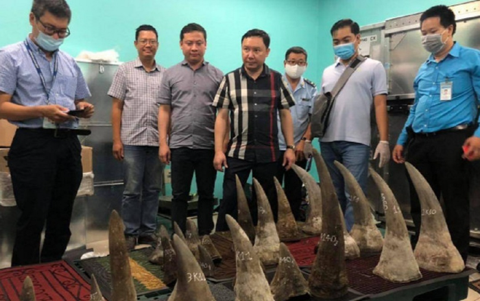 Lô hàng 93 kg nghi là sừng tê giác nhập lậu qua sân bay Tân Sơn Nhất Ảnh 2