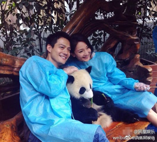 Hành trình hôn nhân giữa Châu Tấn và Cao Thánh Viễn: Bắt đầu âm thầm, kết thúc cũng lặng lẽ! Ảnh 9