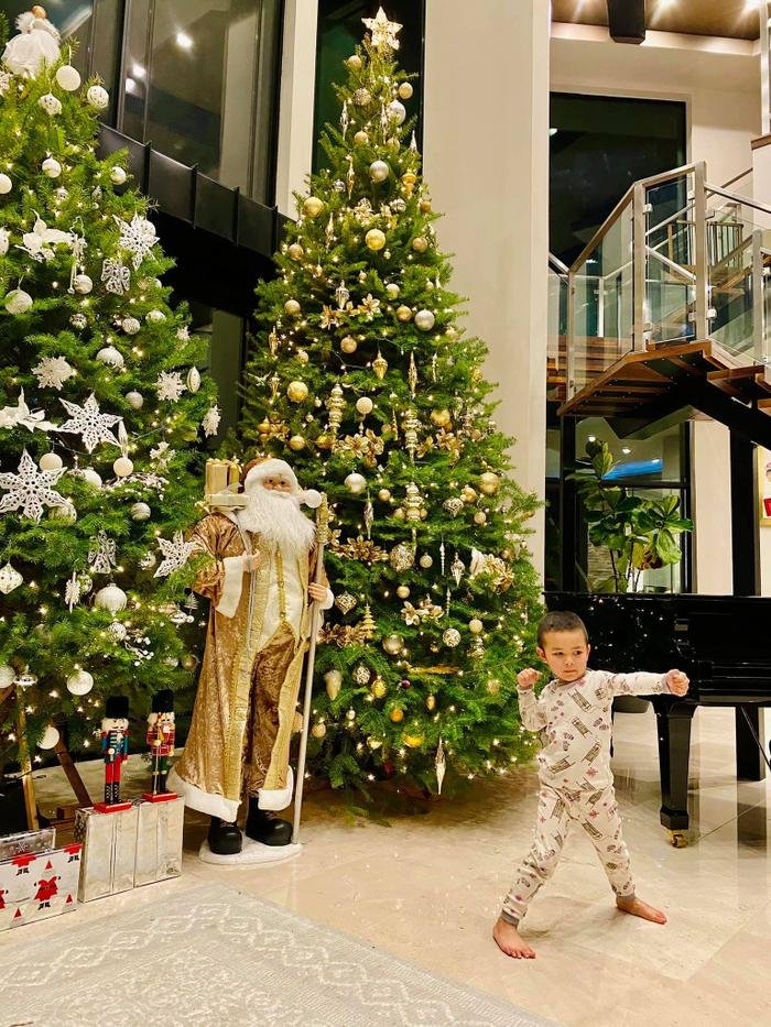 Sao Việt đón Noel: Ngọc Trinh 'dát vàng' biệt thự 50 tỷ, Nhật Kim Anh giản đơn, vợ chồng Hà Tăng ấm cúng Ảnh 9