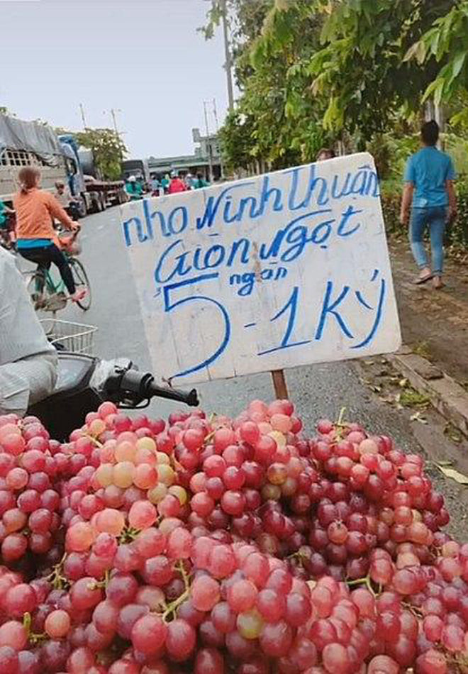 Ông chú bán trái cây khiến người mua 'dở khóc dở cười' với cách Việt hóa cực bá đạo Ảnh 4