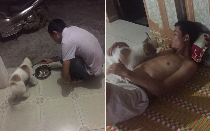 Mang chú chó bị bỏ rơi về nuôi, cô vợ bất ngờ bị anh chồng cho ra rìa: Liệu có nên 'đánh ghen' hay không? Ảnh 2