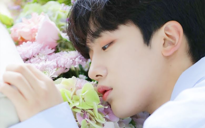 Bình chọn top 8 hoàng tử K-Pop, vị trí dẫn đầu đương nhiên về tay trai đẹp nhà Big Hit Ảnh 2