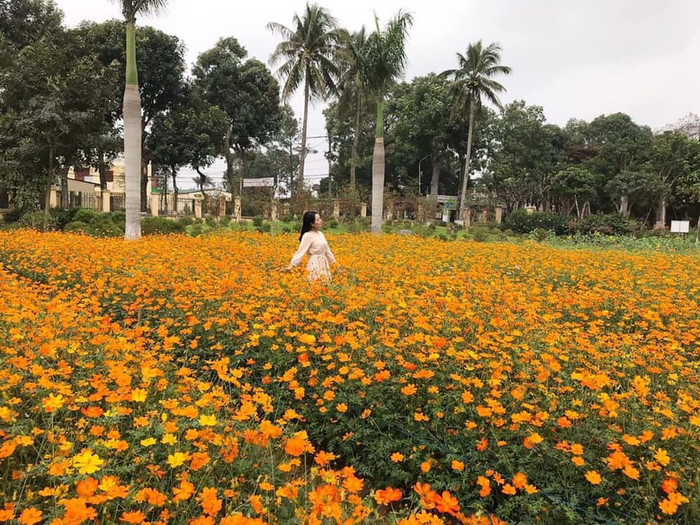 Những Đại học đẹp nhất Hà Nội: Nơi có hoa nở quanh năm, nơi sở hữu khuôn viên đẹp lãng mạn hệt trời Tây Ảnh 5