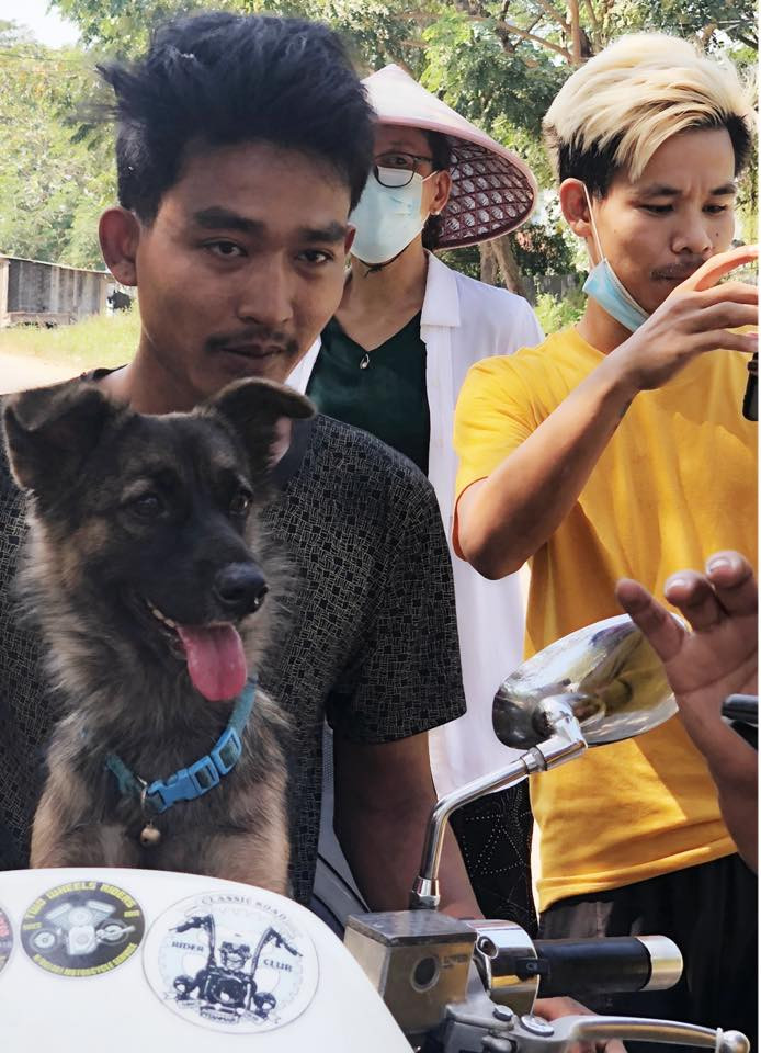 Ki Ki đã tìm được về với chủ nhân sau ba ngày đi lạc.