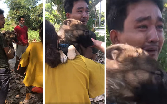 Thấy chân dung trên tờ rơi tìm chó lạc giống mình, boss ung dung ngồi cạnh chờ sen đến đón Ảnh 2