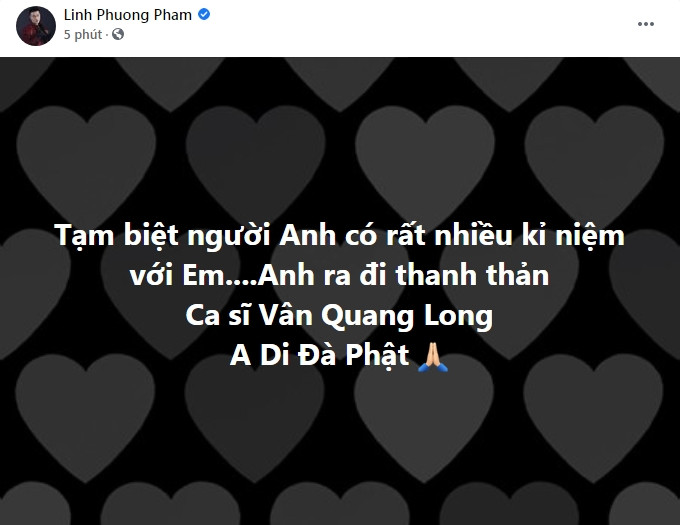 Đan Trường, Lâm Chấn Huy, Nguyên Vũ, Lâm Hùng... đau đớn khi Vân Quang Long qua đời Ảnh 3