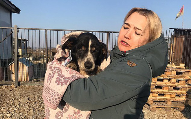 Chó cưng 'đội mồ sống dậy' vì lý do ngay cả chủ nhân cũng sửng sốt Ảnh 2