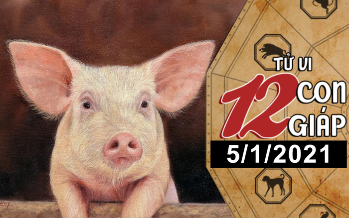 Tử vi thứ 3 ngày 5/1/2021 của 12 con giáp: Sửu bị áp lực kinh tế, Hợi cẩn thận kẻ thứ 3 Ảnh 2