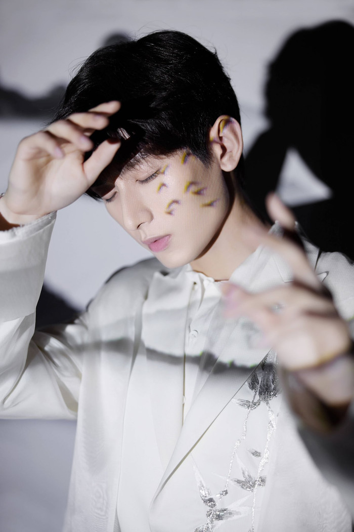 Fan của Vương Nhất Bác và Thành Nghị gây sự với nhau? Ảnh 12