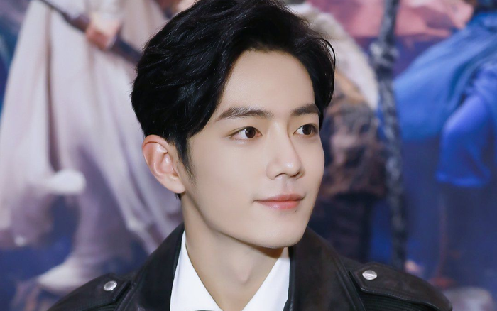 Hoa ngữ có nhiều nam thần, tại sao Tiêu Chiến vẫn cứ 'nổi đình nổi đám'? Ảnh 2