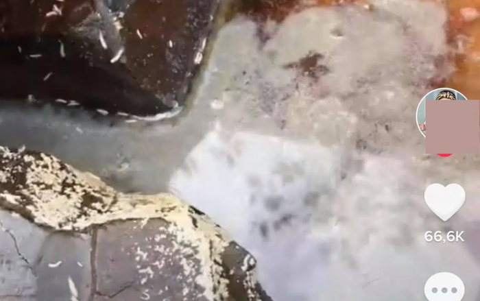 Ám ảnh lu nước mắm có giòi bò ngoe nguẩy bên trong, vừa nhìn thôi đã muốn 'sởn da gà' Ảnh 2