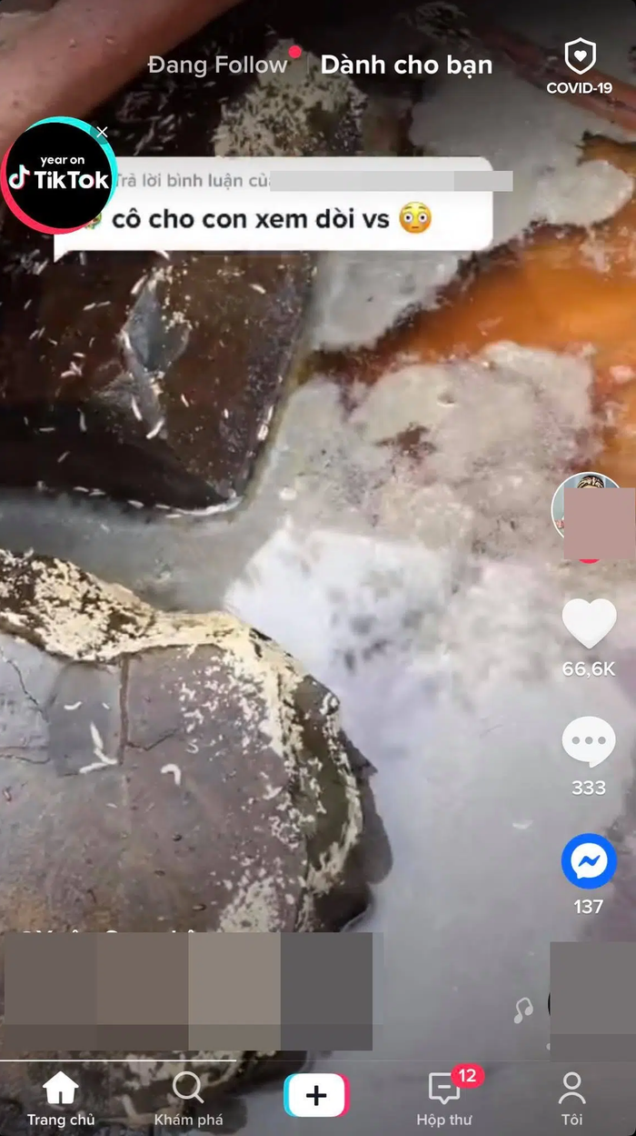 Lu nước mắm xuất hiện giòi ngoe nguẩy bên trong khiến nhiều người ám ảnh