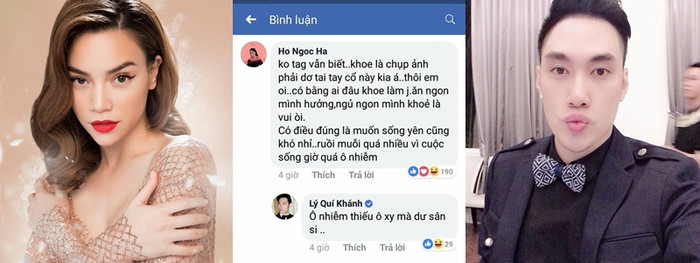 Những lần 'móc mỉa' của Lệ Quyên dành cho Hà Hồ: 'Nữ hoàng giải trí' lại có cuộc sống viên mãn Ảnh 4