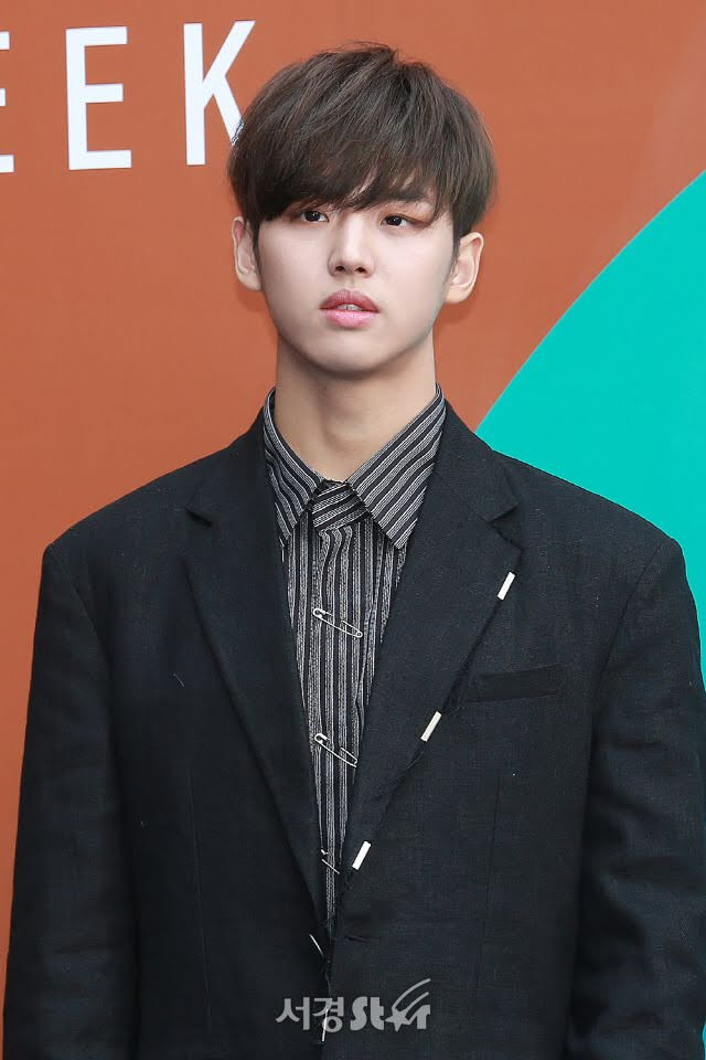 Những thành viên 'hụt' của các nhóm nhạc K-Pop nổi tiếng giờ ra sao? Ảnh 8