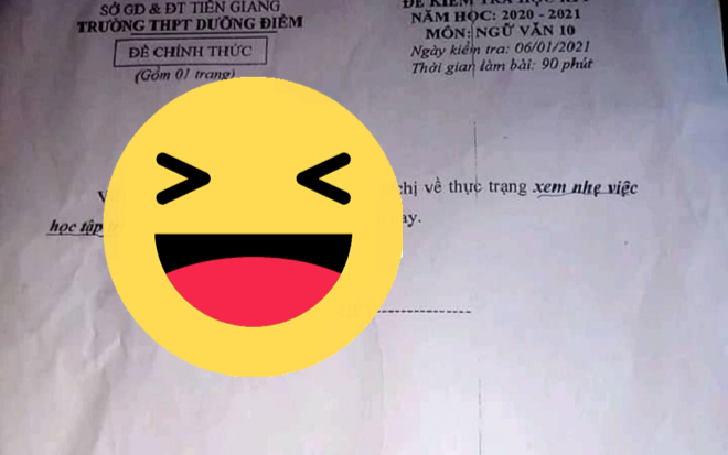 Đề Văn 'ngắn gọn súc tích' chỉ vỏn vẹn 28 chữ khiến giới học trò thích thú Ảnh 2