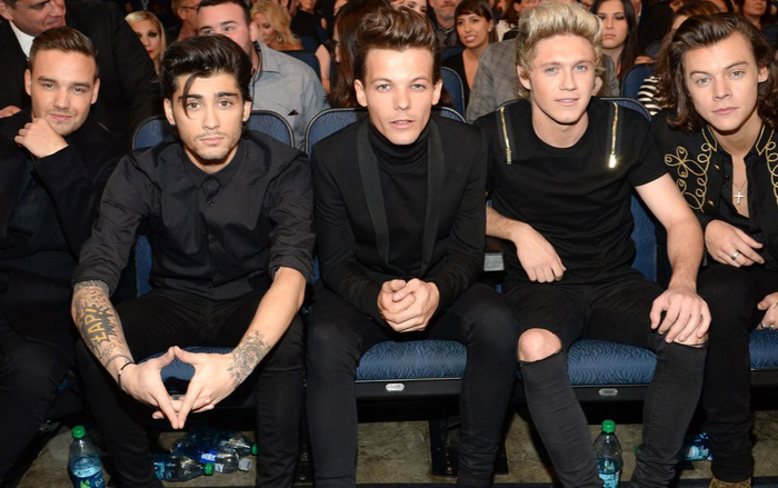 Cùng điểm lại sự nghiệp solo của từng chàng trai tài năng One Direction qua các thông số thú vị nhé Ảnh 2