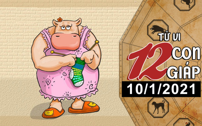 Tử vi chủ nhật ngày 10/1/2021 của 12 con giáp: Sửu tài lộc đầy đủ, Thân thiếu quyết đoán Ảnh 2