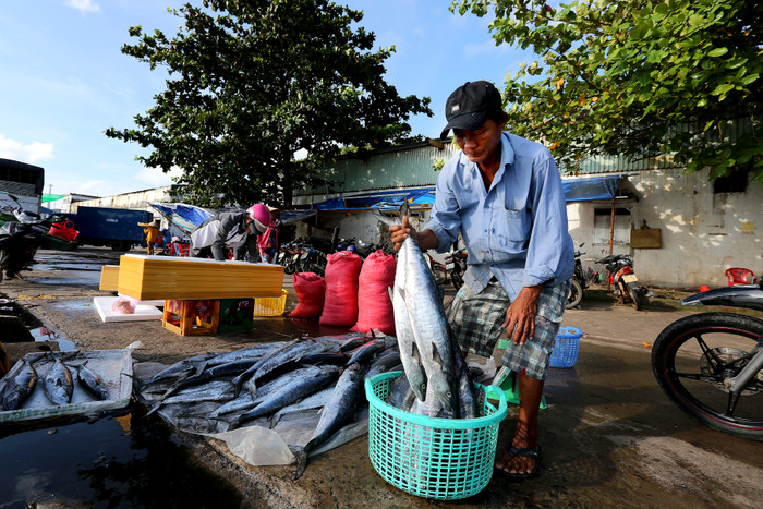 Thiên nhiên ban tặng cho người dân Phú Quốc nhiều hải sản, nhiều người yên tâm bám biển.
