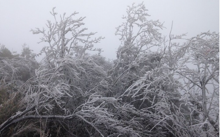 Băng giá bao phủ núi rừng miền Bắc, đỉnh Mẫu Sơn nhiệt độ giảm mạnh xuống -3,4 độ C Ảnh 2