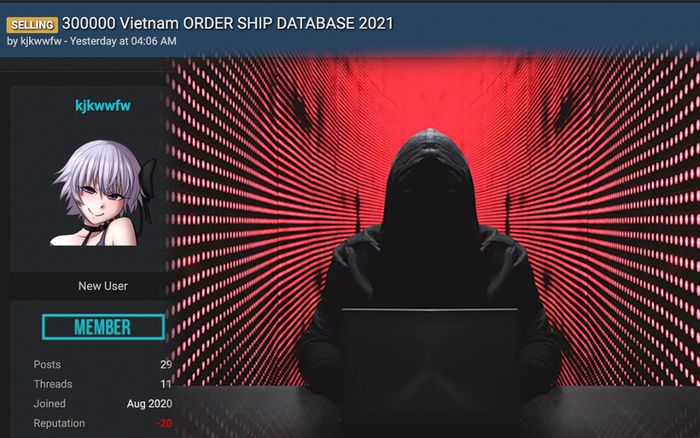 300.000 người dùng Việt Nam bị hacker rao bán thông tin Ảnh 2