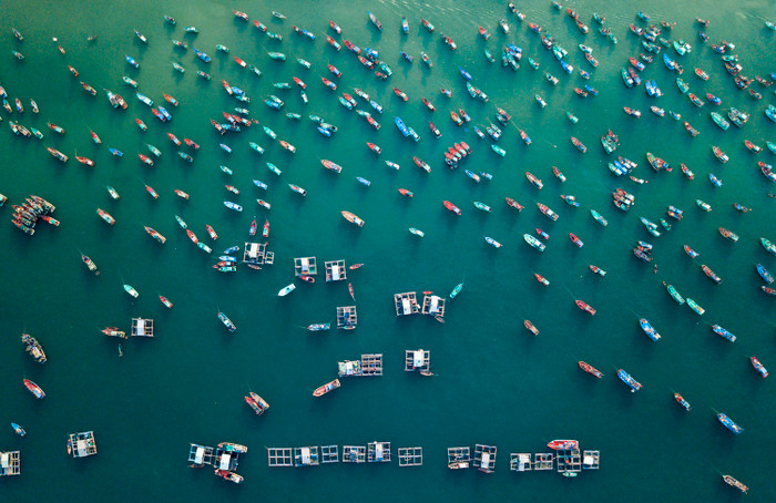 PGS.TS Trần Đình Thiên: Phú Quốc trở thành thành phố đảo khẳng định tính chức năng đặc thù chưa từng có Ảnh 6