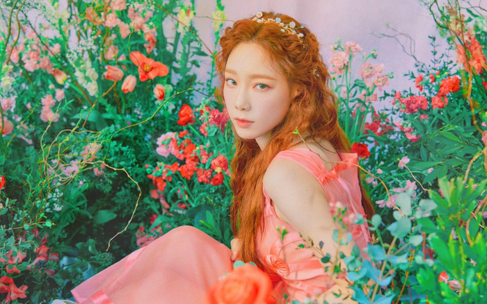 Taeyeon (SNSD) cười khổ vì fan yêu cầu tiết kiệm cho 'tuổi già' Ảnh 2
