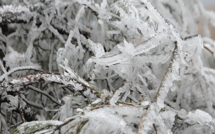 Không khí lạnh tiếp tục tăng cường mạnh, miền Bắc chìm trong giá rét, Hà Nội lạnh buốt 8 độ C Ảnh 2