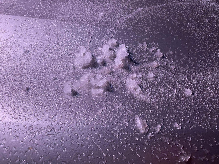 Hình ảnh tuyết rơi khiến nhiều người háo hức lập tức đặt lịch lên Sapa săn tuyết. Nguồn: Facebook Sapa Tất Tần Tật