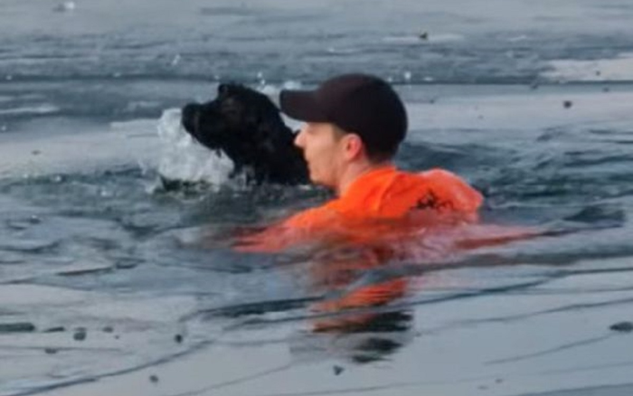 Từ chối gọi là 'anh hùng' khi lao xuống hồ băng cứu chó, phát ngôn của người đàn ông càng thêm nể phục Ảnh 2