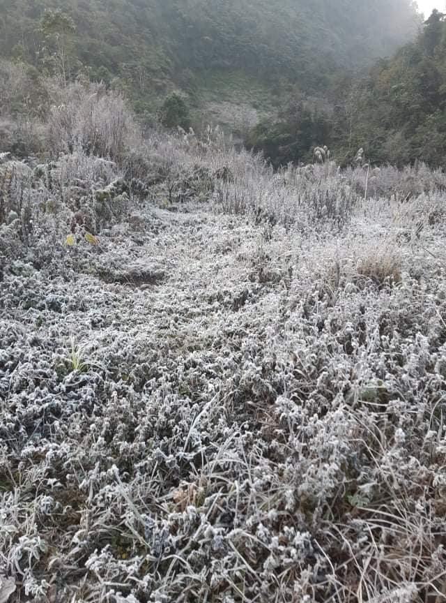 Vào sáng sớm nhiều nơi xuất hiện băng giá