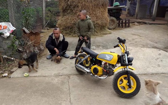 Anh em Tam Mao bị lên án vì ngược đãi động vật để làm video YouTube Ảnh 2