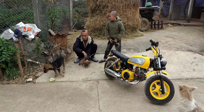 Anh em Tam Mao bị lên án vì ngược đãi động vật để làm video YouTube Ảnh 6