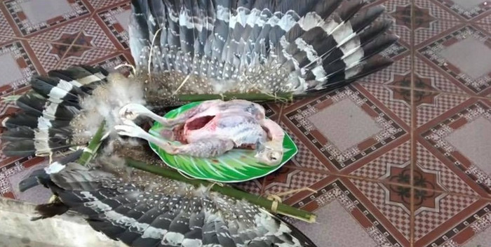 Anh em Tam Mao bị lên án vì ngược đãi động vật để làm video YouTube Ảnh 7