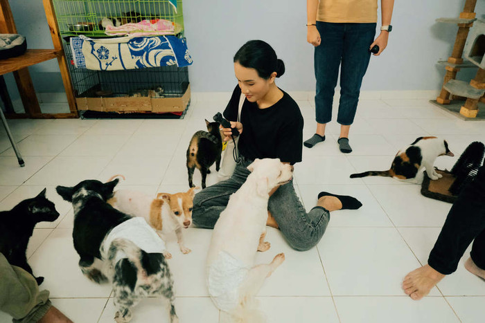 Hình ảnh Giang Ơi tham gia hoạt động tại trung tâm cứu trợ động vật.