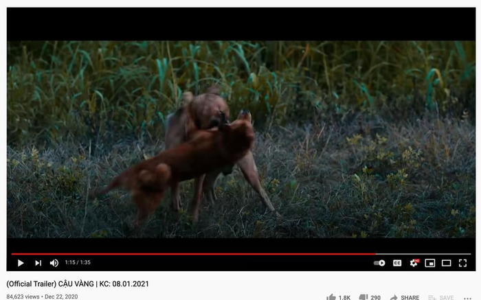 Giang Ơi lên án gay gắt phim 'Cậu Vàng' ngược đãi động vật, quyết không bỏ tiền xem 'chọi chó' Ảnh 2