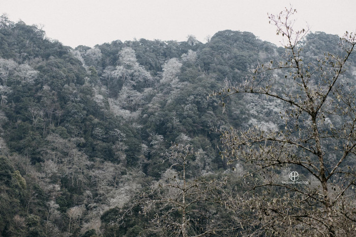 Những ngày qua, không khí lạnh với cường độ mạnh đã gây ảnh hưởng lớn đến nhiều địa phương miền núi của tỉnh Hà Giang. 