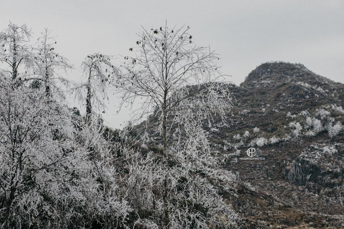 Xã Cao Mã Pờ cách TP. Hà Giang khoảng 50km, với độ cao khoảng 1.000m so với mực nước biển. Nhiệt độ tại đây đã xuống đến -4 độ C. Đây là nhiệt độ thấp kỷ lục của địa phương này. 