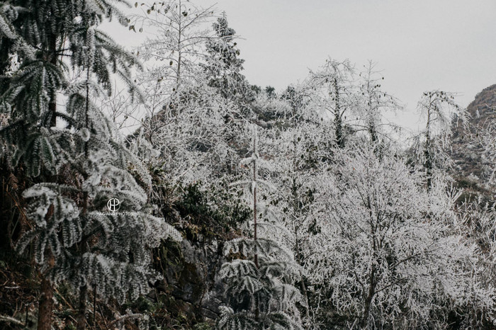 Chùm ảnh: Nhiệt độ xuống thấp kỷ lục, băng giá phủ trắng trời ở Hà Giang Ảnh 7