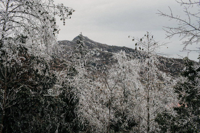 Tình trạng đóng băng diễn ra ở nhiều nơi, tuyết trắng phủ kín cành cây, ngọn cỏ, hoa màu. 