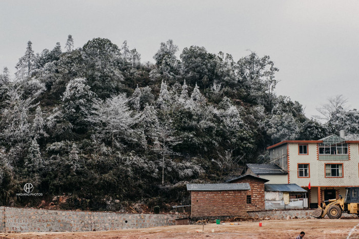 Băng giá khiến cuộc sống nơi đây trở nên trì trệ, hoa màu gần như hỏng hoàn toàn. 