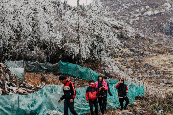 Xã Cao Mã Pờ là vùng sâu vùng xa, do đó, ít khách du lịch đến đây chụp ảnh băng giá.