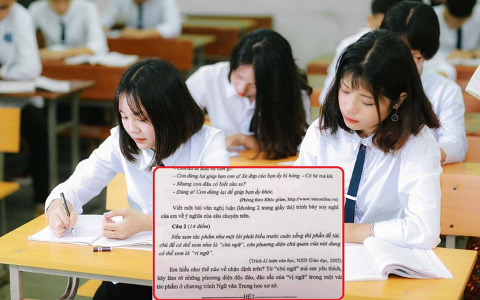 Đề Văn học sinh giỏi lớp 9 khiến dân mạng 'khóc thét' khi đọc đi đọc lại vẫn không thể hiểu Ảnh 2
