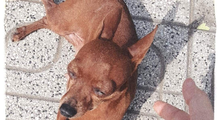 Và đây chính là nhân vật đang bị nhiều sinh viên của trường ĐH Sư phạm Kỹ thuật TP.HCM ghét nhất vào lúc này...