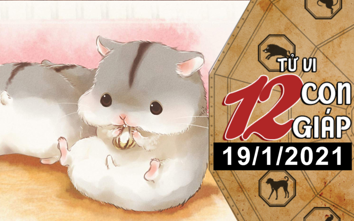 Tử vi thứ 3 ngày 19/1/2021 của 12 con giáp: Tý dễ bị tiểu nhân hãm hại, Tuất có quý nhân phù trợ Ảnh 2