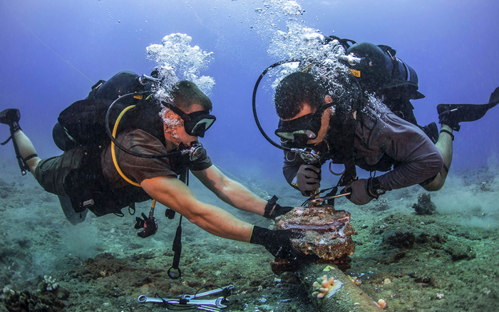 Sau Tết Nguyên đán 2021, cáp quang biển IA mới được sửa xong Ảnh 2