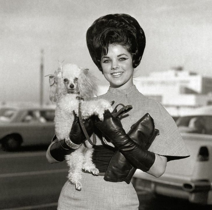 Vợ huyền thoại âm nhạc Elvis Presley không được phép gặp chồng khi chưa trang điểm Ảnh 5